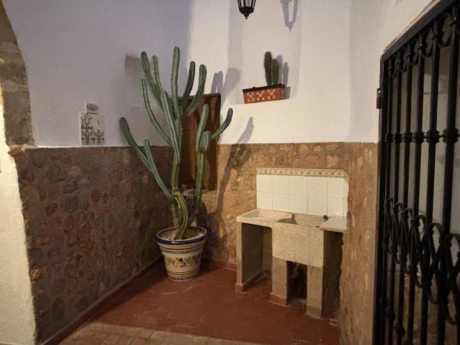 Apartamentos Ca Federo, Casa La Tia Elena Hinojosa del Duque Kültér fotó